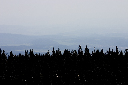 CRW_9907.jpg