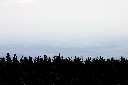 CRW_9908.jpg