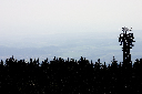 CRW_9909.jpg