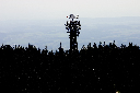 CRW_9910.jpg