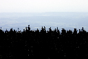 CRW_9912.jpg