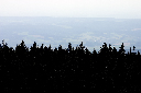 CRW_9913.jpg