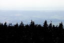 CRW_9914.jpg