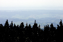 CRW_9915.jpg