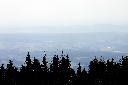 CRW_9916.jpg