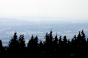 CRW_9921.jpg