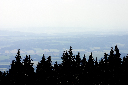 CRW_9922.jpg