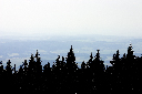 CRW_9923.jpg