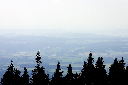 CRW_9924.jpg