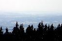 CRW_9925.jpg