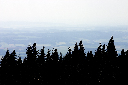 CRW_9926.jpg