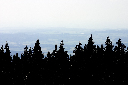 CRW_9927.jpg