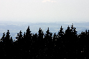 CRW_9928.jpg