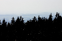 CRW_9929.jpg