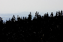 CRW_9930.jpg