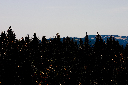 CRW_9936.jpg