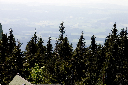 CRW_9944.jpg