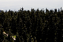 CRW_9947.jpg
