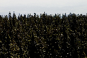 CRW_9949.jpg