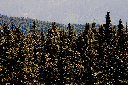 CRW_9953.jpg