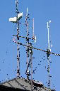 CRW_9955.jpg