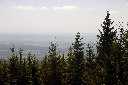 CRW_9959.jpg