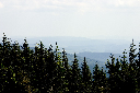 CRW_9966.jpg