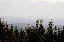 CRW_9967.jpg