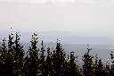 CRW_9968.jpg