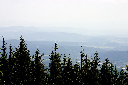 CRW_9969.jpg