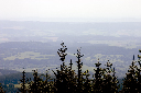 CRW_9977.jpg