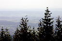 CRW_9978.jpg