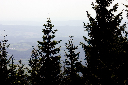 CRW_9979.jpg