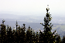 CRW_9980.jpg