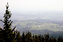 CRW_9981.jpg