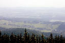 CRW_9982.jpg