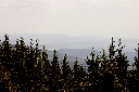 CRW_9986.jpg