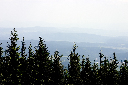 CRW_9987.jpg