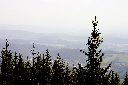 CRW_9988.jpg