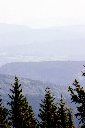 CRW_9989.jpg