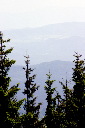 CRW_9992.jpg