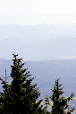 CRW_9993.jpg