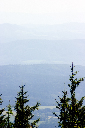 CRW_9994.jpg