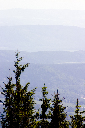 CRW_9995.jpg