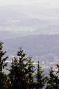 CRW_9997.jpg