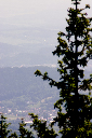 CRW_9998.jpg