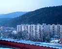 IM002581.JPG