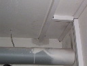 000_0736.JPG