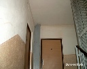 IM002325.JPG