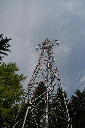 IMG_6781.jpg